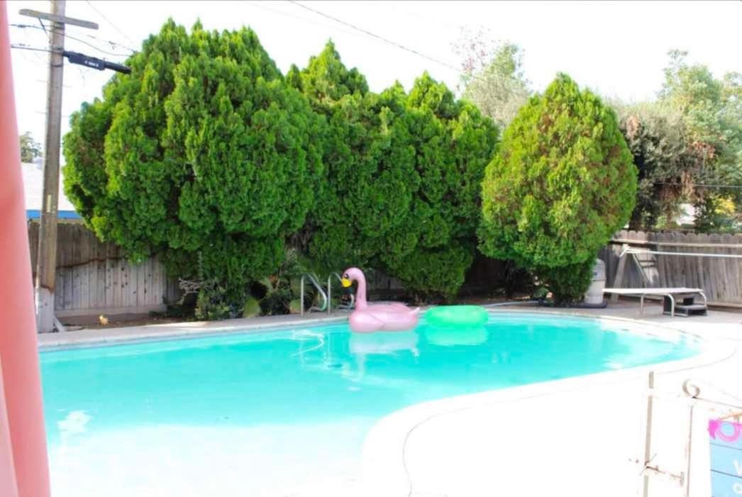 Beautiful & Pool Holiday home *